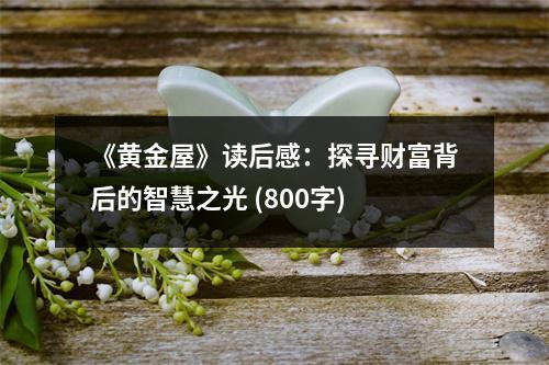 《黃金屋》讀后感：探尋財(cái)富背后的智慧之光 (800字)