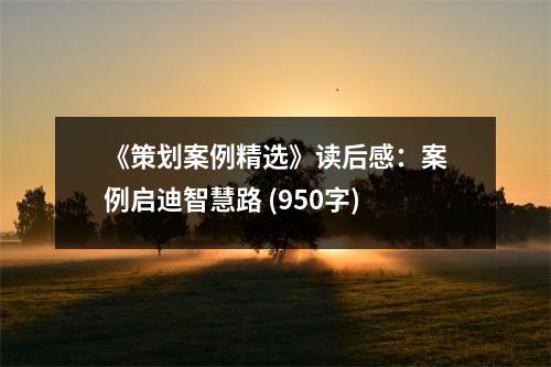 《策劃案例精選》讀后感：案例啟迪智慧路 (950字)