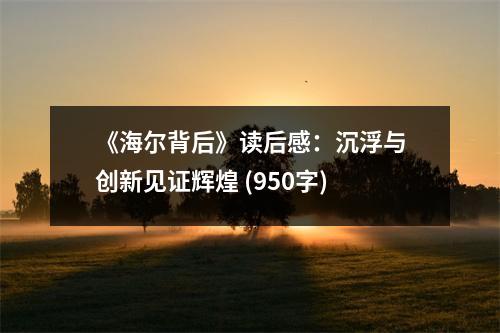 《海爾背后》讀后感：沉浮與創(chuàng)新見證輝煌 (950字)