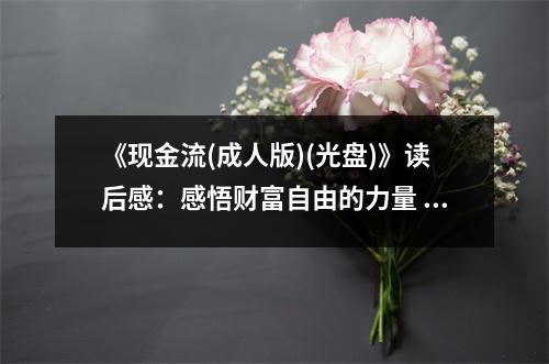 《現(xiàn)金流(成人版)(光盤)》讀后感：感悟財(cái)富自由的力量 (750字)