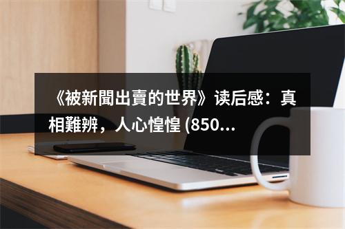 《被新聞出賣的世界》讀后感：真相難辨，人心惶惶 (850字)