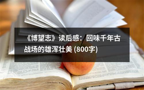 《博望志》讀后感：回味千年古戰(zhàn)場的雄渾壯美 (800字)
