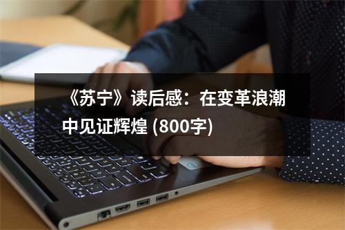 《蘇寧》讀后感：在變革浪潮中見證輝煌 (800字)
