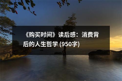 《購買時間》讀后感：消費背后的人生哲學(xué) (950字)