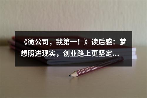 《微公司，我第一！》讀后感：夢想照進現(xiàn)實，創(chuàng)業(yè)路上更堅定 (750字)