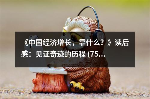 《中國經(jīng)濟增長，靠什么？》讀后感：見證奇跡的歷程 (750字)
