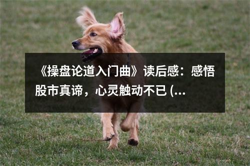 《操盤論道入門曲》讀后感：感悟股市真諦，心靈觸動不已 (1050字)