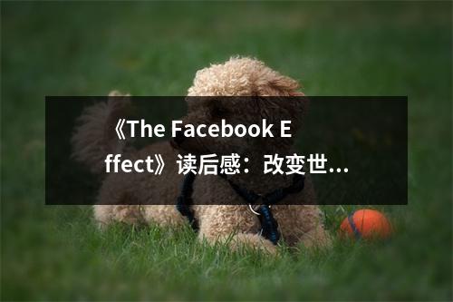 《The Facebook Effect》讀后感：改變世界的力量 (650字)