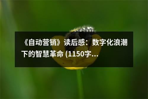 《自動營銷》讀后感：數(shù)字化浪潮下的智慧革命 (1150字)