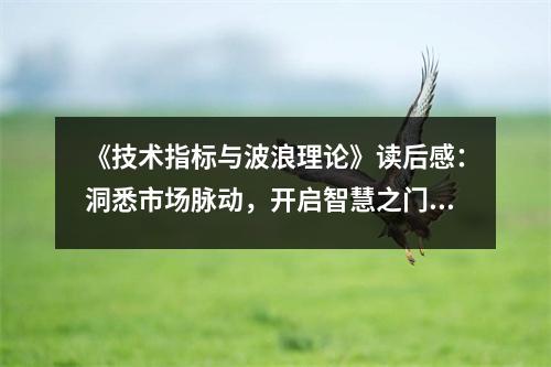 《技術(shù)指標(biāo)與波浪理論》讀后感：洞悉市場脈動，開啟智慧之門 (1200字)