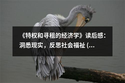 《特權(quán)和尋租的經(jīng)濟(jì)學(xué)》讀后感：洞悉現(xiàn)實(shí)，反思社會福祉 (850字)