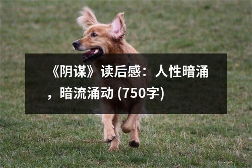 《陰謀》讀后感：人性暗涌，暗流涌動 (750字)