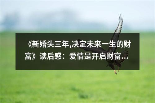 《新婚頭三年,決定未來一生的財(cái)富》讀后感：愛情是開啟財(cái)富之門的鑰匙 (1000字)