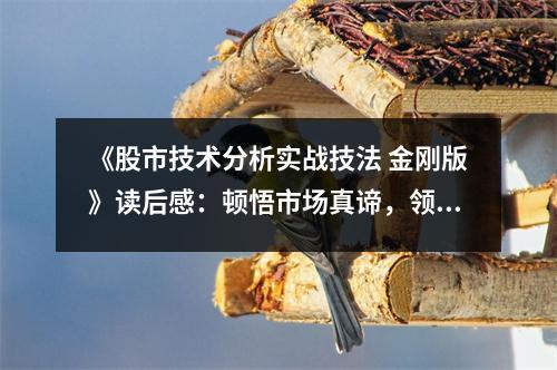 《股市技術(shù)分析實(shí)戰(zhàn)技法 金剛版》讀后感：頓悟市場真諦，領(lǐng)略智慧光芒 (950字)