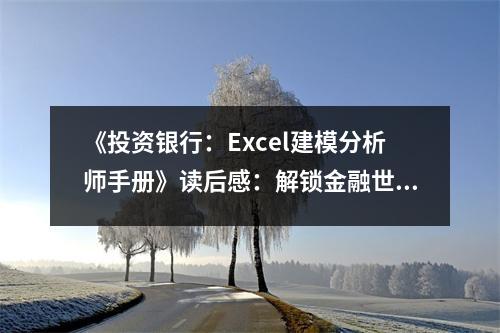《投資銀行：Excel建模分析師手冊》讀后感：解鎖金融世界的奧秘 (850字)
