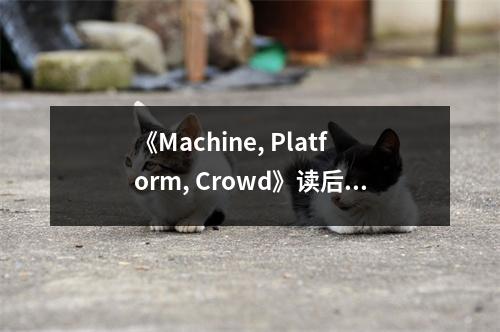 《Machine, Platform, Crowd》讀后感：顛覆認(rèn)知的智慧之光 (900字)