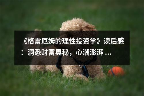 《格雷厄姆的理性投資學(xué)》讀后感：洞悉財富奧秘，心潮澎湃 (1100字)