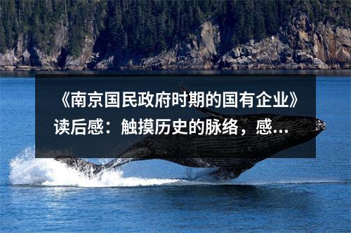 《南京國民政府時(shí)期的國有企業(yè)》讀后感：觸摸歷史的脈絡(luò)，感受時(shí)代的風(fēng)云 (850字)