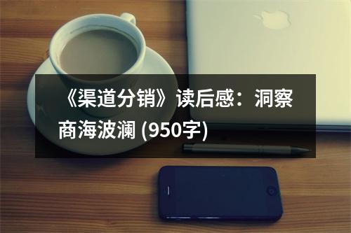 《渠道分銷》讀后感：洞察商海波瀾 (950字)