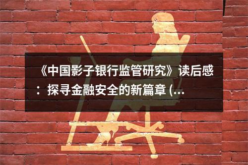 《中國影子銀行監(jiān)管研究》讀后感：探尋金融安全的新篇章 (900字)