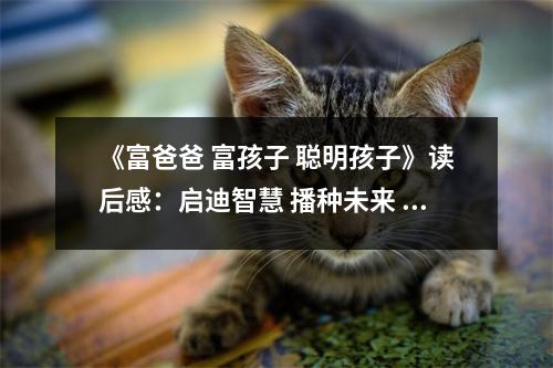 《富爸爸 富孩子 聰明孩子》讀后感：啟迪智慧 播種未來 (900字)