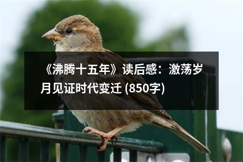 《沸騰十五年》讀后感：激蕩歲月見(jiàn)證時(shí)代變遷 (850字)