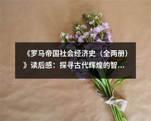 《羅馬帝國(guó)社會(huì)經(jīng)濟(jì)史（全兩冊(cè)）》讀后感：探尋古代輝煌的智慧之光 (1000字)