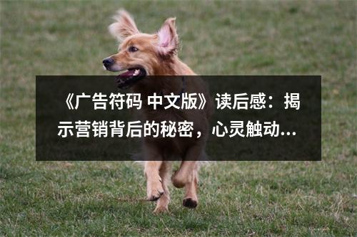 《廣告符碼 中文版》讀后感：揭示營(yíng)銷(xiāo)背后的秘密，心靈觸動(dòng)瞬間升華 (750字)