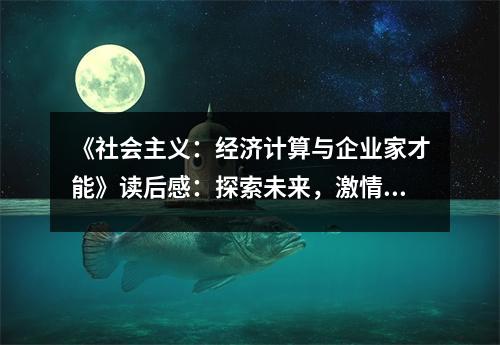 《社會主義：經(jīng)濟計算與企業(yè)家才能》讀后感：探索未來，激情滿懷 (900字)