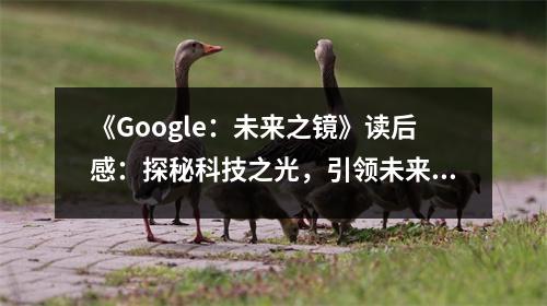 《Google：未來(lái)之鏡》讀后感：探秘科技之光，引領(lǐng)未來(lái)航向 (850字)