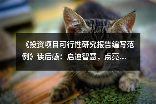 《投資項(xiàng)目可行性研究報(bào)告編寫范例》讀后感：?jiǎn)⒌现腔?，點(diǎn)亮未來(lái) (800字)
