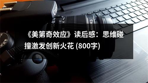 《美第奇效應(yīng)》讀后感：思維碰撞激發(fā)創(chuàng)新火花 (800字)