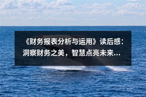 《財(cái)務(wù)報(bào)表分析與運(yùn)用》讀后感：洞察財(cái)務(wù)之美，智慧點(diǎn)亮未來(lái) (750字)