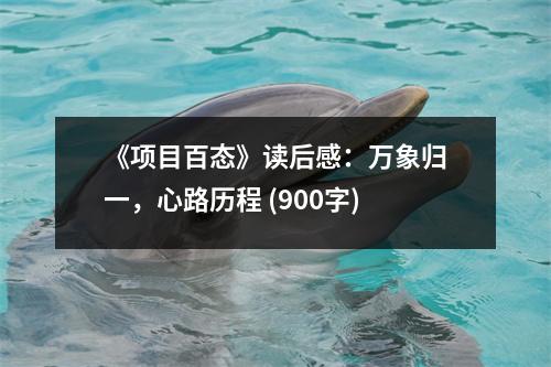 《項(xiàng)目百態(tài)》讀后感：萬(wàn)象歸一，心路歷程 (900字)