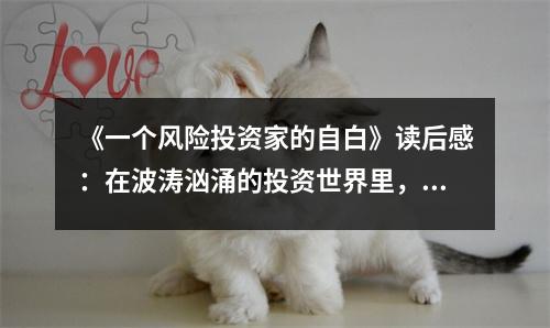 《一個(gè)風(fēng)險(xiǎn)投資家的自白》讀后感：在波濤洶涌的投資世界里，勇敢前行 (950字)