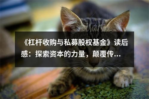 《杠桿收購與私募股權(quán)基金》讀后感：探索資本的力量，顛覆傳統(tǒng)思維 (800字)
