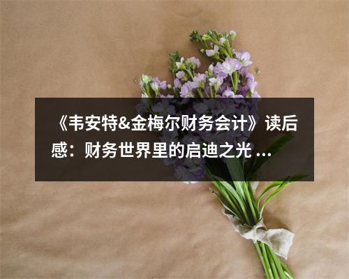 《韋安特&金梅爾財務(wù)會計》讀后感：財務(wù)世界里的啟迪之光 (1150字)