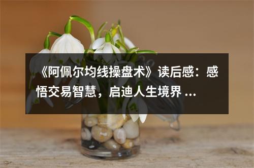 《阿佩爾均線操盤術(shù)》讀后感：感悟交易智慧，啟迪人生境界 (750字)