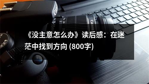 《沒主意怎么辦》讀后感：在迷茫中找到方向 (800字)