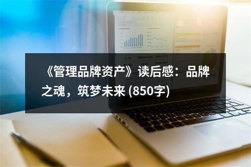 《管理品牌資產(chǎn)》讀后感：品牌之魂，筑夢未來 (850字)