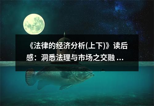 《法律的經(jīng)濟(jì)分析(上下)》讀后感：洞悉法理與市場之交融 (950字)
