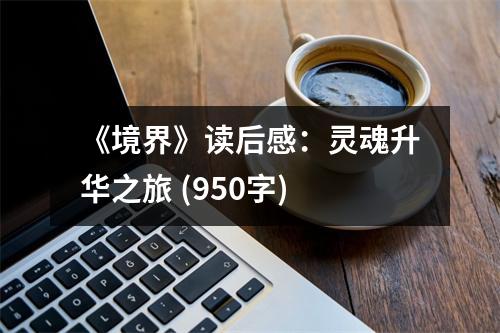 《境界》讀后感：靈魂升華之旅 (950字)