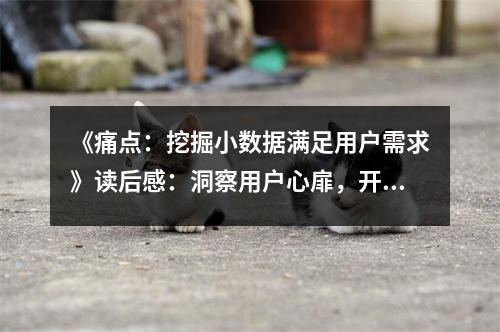 《痛點(diǎn)：挖掘小數(shù)據(jù)滿(mǎn)足用戶(hù)需求》讀后感：洞察用戶(hù)心扉，開(kāi)啟創(chuàng)新之門(mén) (950字)