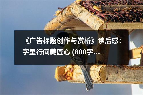 《廣告標(biāo)題創(chuàng)作與賞析》讀后感：字里行間藏匠心 (800字)