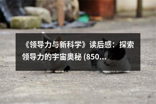《領(lǐng)導(dǎo)力與新科學(xué)》讀后感：探索領(lǐng)導(dǎo)力的宇宙奧秘 (850字)