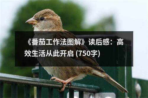 《番茄工作法圖解》讀后感：高效生活從此開(kāi)啟 (750字)