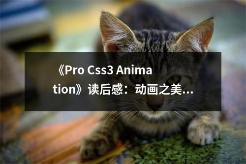 《Pro Css3 Animation》讀后感：動(dòng)畫(huà)之美，躍然紙上 (800字)