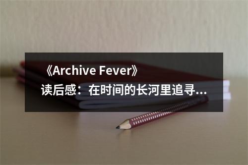 《Archive Fever》讀后感：在時(shí)間的長(zhǎng)河里追尋記憶的痕跡 (700字)