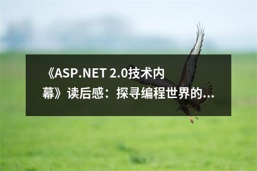 《ASP.NET 2.0技術(shù)內(nèi)幕》讀后感：探尋編程世界的奧秘 (850字)