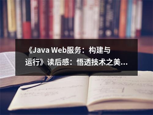 《Java Web服務(wù)：構(gòu)建與運行》讀后感：悟透技術(shù)之美，開啟智慧之門 (800字)